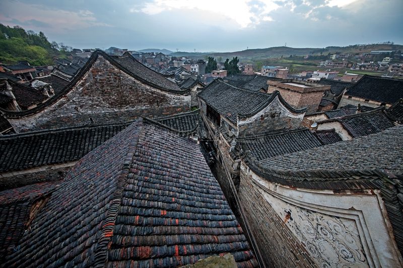 timg (2).jpg timg (2).jpg