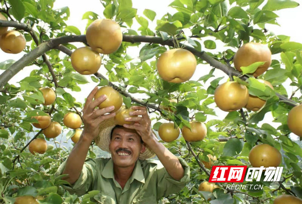 ????_20191120170828_meitu_5.jpg ????_20191120170828_meitu_5.jpg