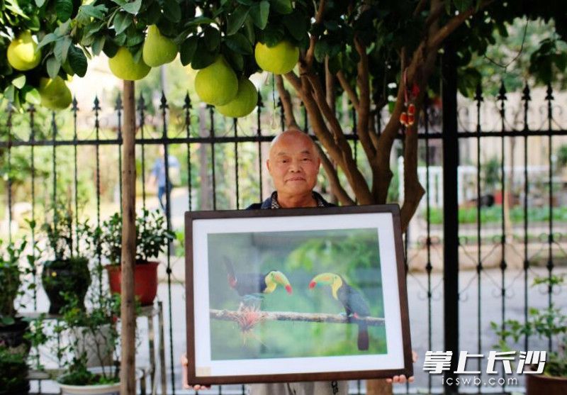 余敏和他的作品。长沙晚报通讯员章帝 摄