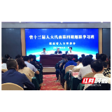 基层代表要接稳地气履好职