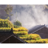 湖南暖阳不愿走,时代不拒绝农耕文明