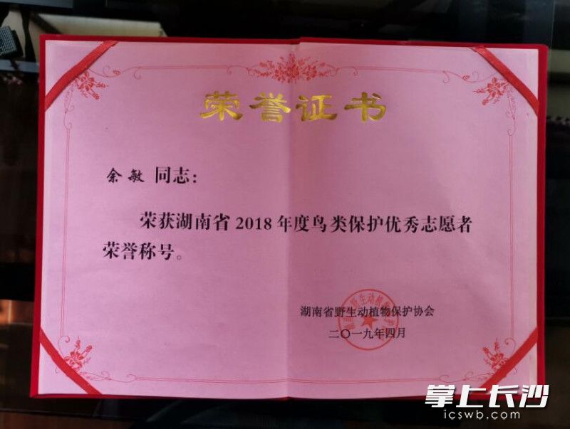 余敏获评2018年度全省鸟类保护优秀志愿者称号。长沙晚报通讯员章帝 摄
