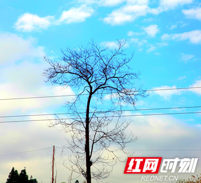 IMG_7148_副本_副本.jpg