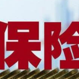 专属网销保险扎堆秀低价 一元保险保不保险？