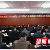 以主题教育为契机 抓好抓实专项整治工作