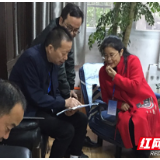 芦淞区教育督导室在淞南中学开展随访督导