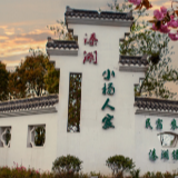 【乡村振兴在行动】江苏泰州：绘就特色田园画卷 农民美到“心窝子”