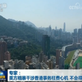 专家：美方粗暴干涉香港事务枉费心机 不会得逞