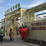 【乡村振兴在行动】“含绿量”提高江苏乡村“含金量”