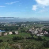 【不忘初心 牢记使命】一片叶子的扶贫“密码”