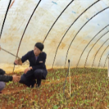 【不忘初心 牢记使命】武冈农商银行：多措并举 打通农村金融服务的“最后一公里”