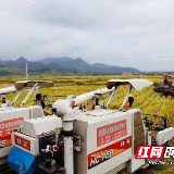 绥宁武阳镇：发展特色产业 增加农民收入