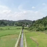 水清岸美河道畅——湘潭县排头乡打造“河长制”升级版