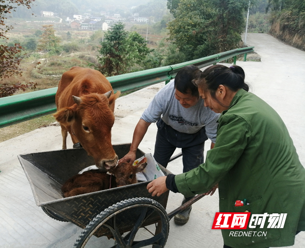 ????_20191125215711.jpg ????_20191125215711.jpg