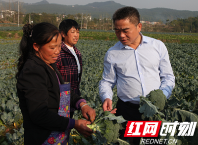 QQ图片20191125111521_副本.png