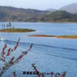 李殿勋在岳阳黄盖湖巡湖时强调 把握同治联治 推动绿色增长