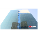醴陵造出“发电玻璃”：房子将变发电站，堪称“挂在墙上的油田”