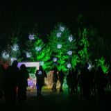 芝加哥举办节日灯光秀