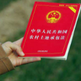 中央重磅意见发布：保持土地承包关系稳定并长久不变