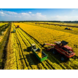 废弃地复垦 留与子孙耕