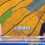 第二轮土地承包到期后再延长30年 赋予农民长久稳定地权