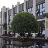  中国铁建•梅溪青秀大格局独栋商业上市