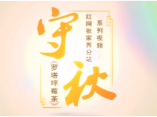 守秋|罗塔坪莓茶