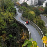 中国构建城市森林生态系统15年：因城施策 城林相融