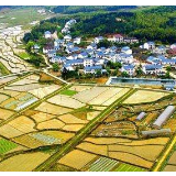 【地评线】土地承包关系“长久不变”是为了“更好改变”