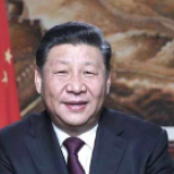 习近平纵论中国梦：实干才能梦想成真