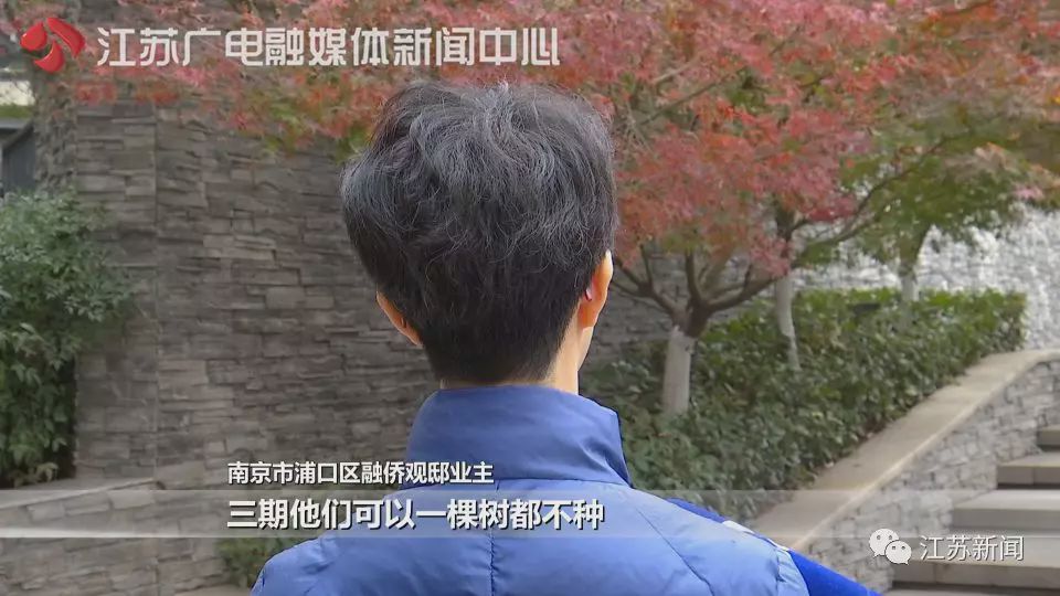 宣称绿化茂密仅6棵树?房企:红烧牛肉面还没牛肉呢