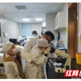 妈妈，我从哪里来的？小学生化身实习医生探索生命奥秘