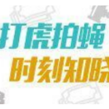 海南省高级人民法院原党组成员、副院长张家慧被开除党籍和公职