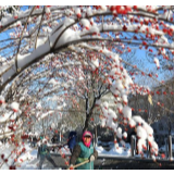 雪后河北美如画