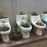 抽查10多户新厕竟无一使用 农村改厕岂能“为改而改”