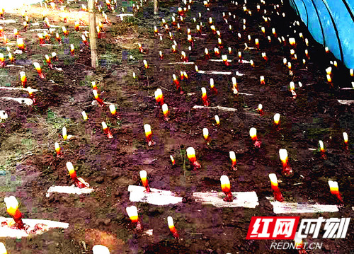 微信图片_20191130233106_副本_副本.jpg