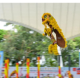 水上跳桩狮王争霸赛