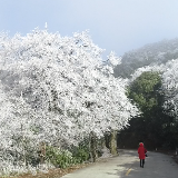 视频丨永州双牌阳明山：雾凇过后天气转晴 雾凇云海美景频现