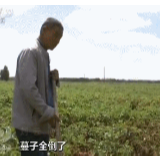 土豆脱贫记丨挣了钱，还拿奖，脱贫致富全靠TA
