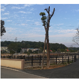马路市场换新颜 天元区全力推进和谐新区建设