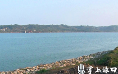 刘克胤督查龙船镇堤防岸坡整治工作