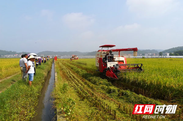 2019年“双抢”现场_副本.jpg