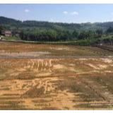 盘活荒废闲置土地 加快新农村建设步伐