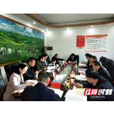邵阳：做到四个“着力强化” 推动政府工作水平上新台阶