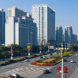 增花添彩！80余万株时令花卉绽放冬之绚烂 就在长沙这些地方