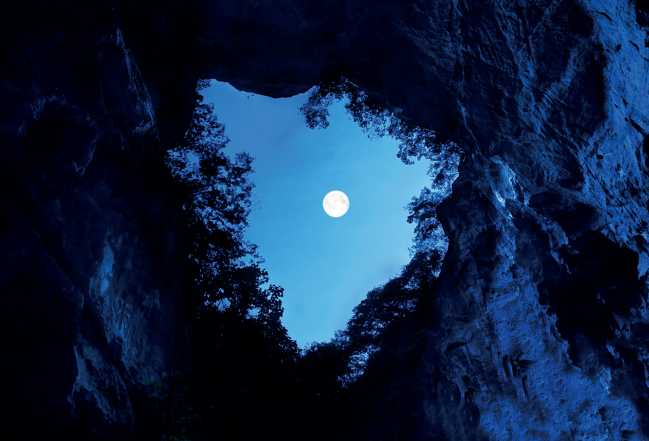 ????_20191205091634.png