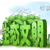 刘海运：生态强省的典型案例及综述