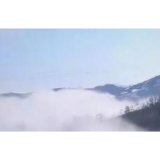 触目惊心！冶炼厂废料污染黄河支流，村民：小鸟喝了就死
