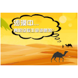 沙漠里没有生机？这群沙漠里的人表示不服！