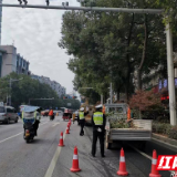 株洲荷塘交警：修剪行道树枝 消除安全隐患
